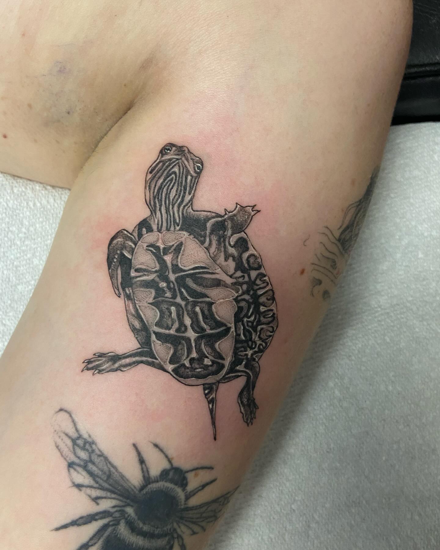 Turtle black and grey tattoo on the forearm by Libbey June @ Snailberry Studios- NW OHIO