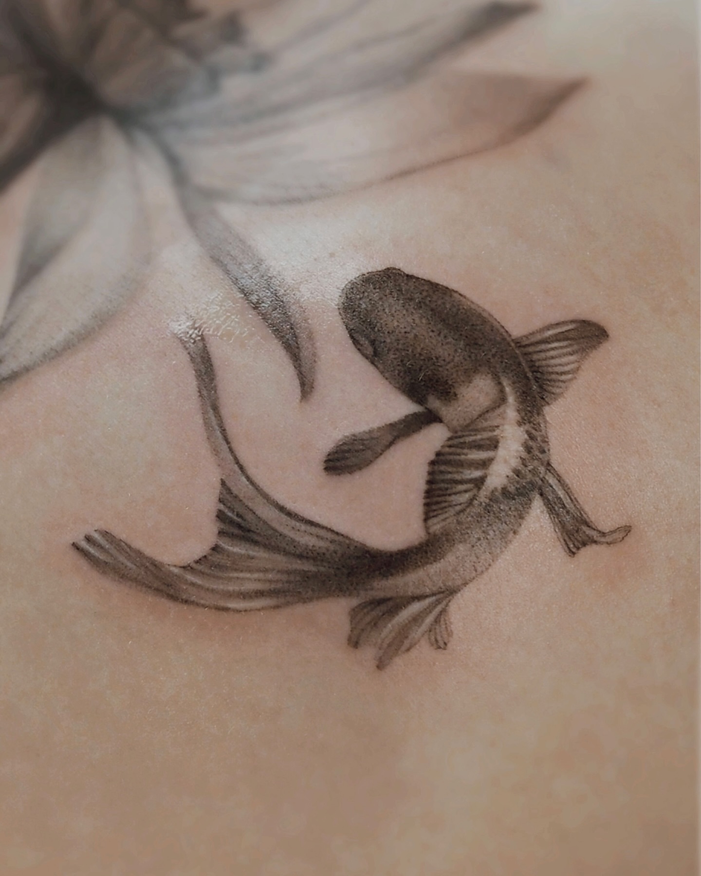 Fish dotwork tattoo on the upper arm by Anastasiia Pakhanova ♥ tattoo artist