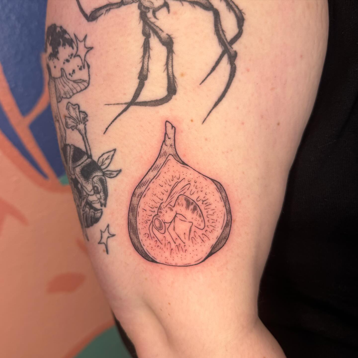 Fig black and grey tattoo on the forearm by Ivy