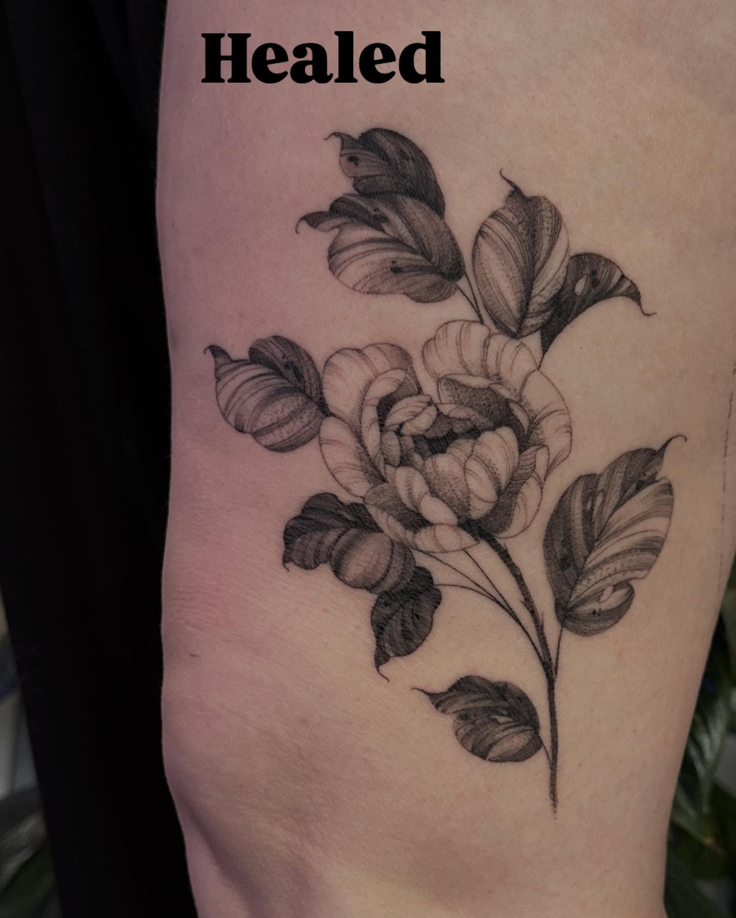 Peony black and grey tattoo on the forearm by 🌙nadia Renee