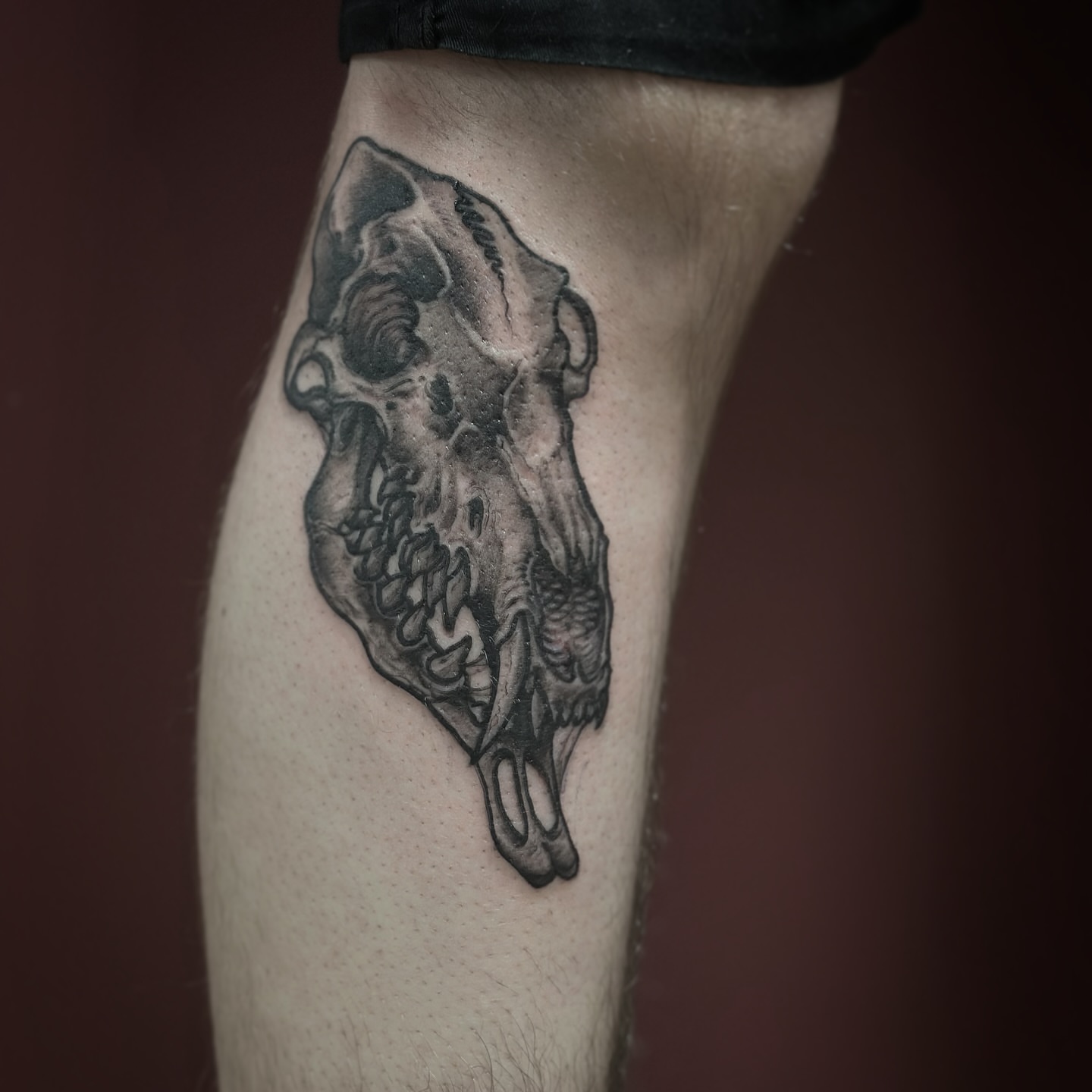 Tattoo by @carnivorousfx — black_and_grey