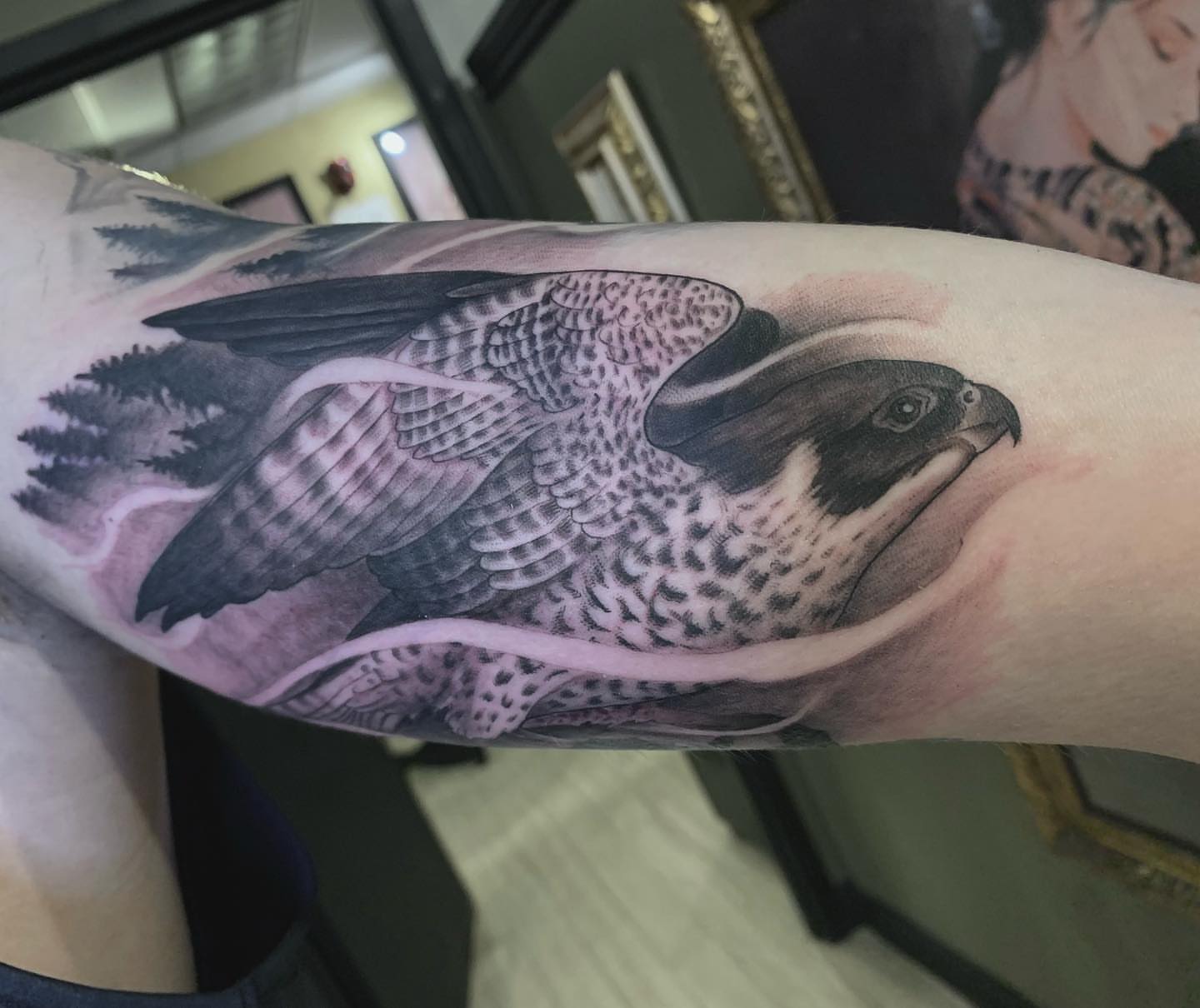 Hawk realism tattoo on the forearm by Tad Fulkerson, San Francisco, California