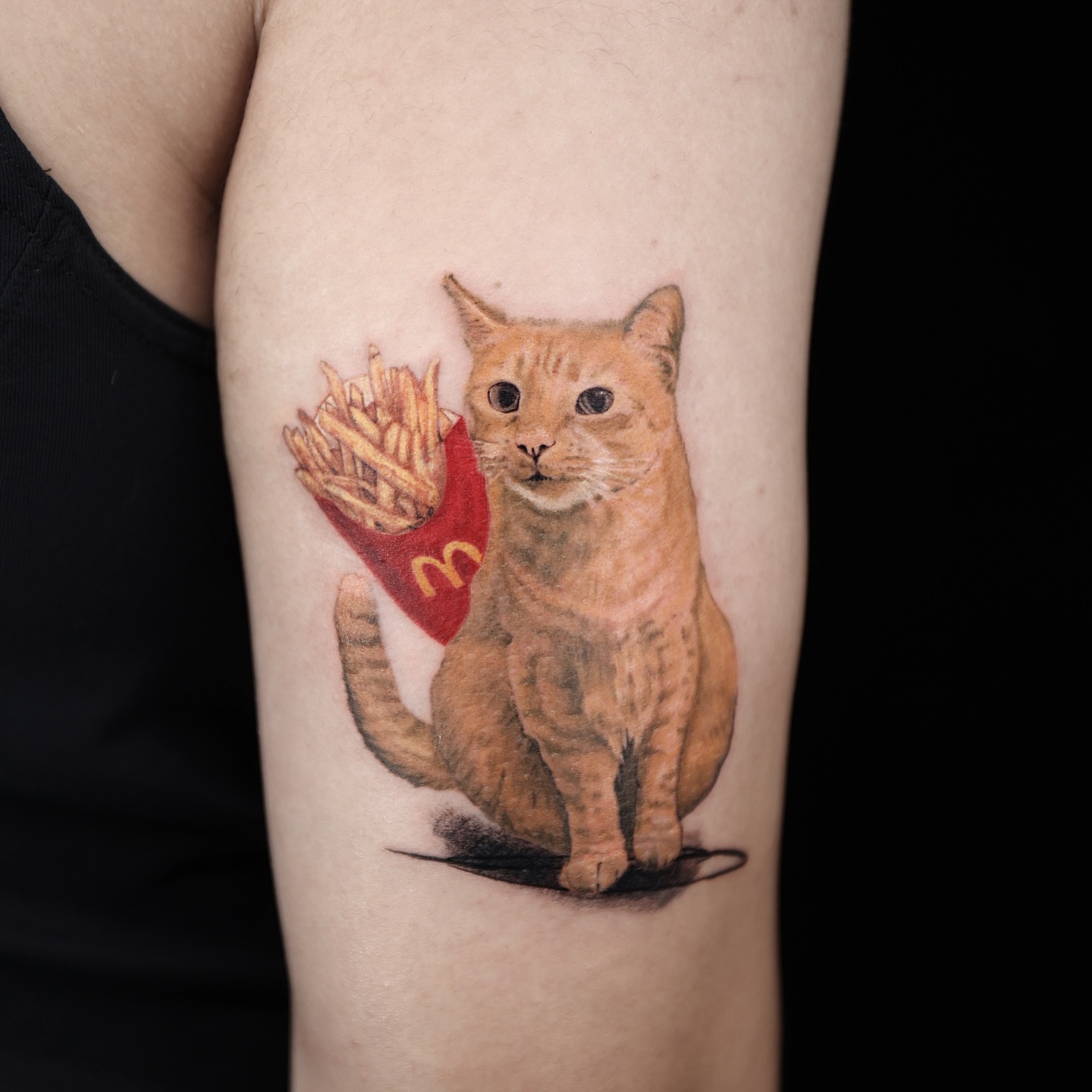 Cat with McDonald's fries realism tattoo on the forearm by Adam_Zhiwei Xu(Tattooist)