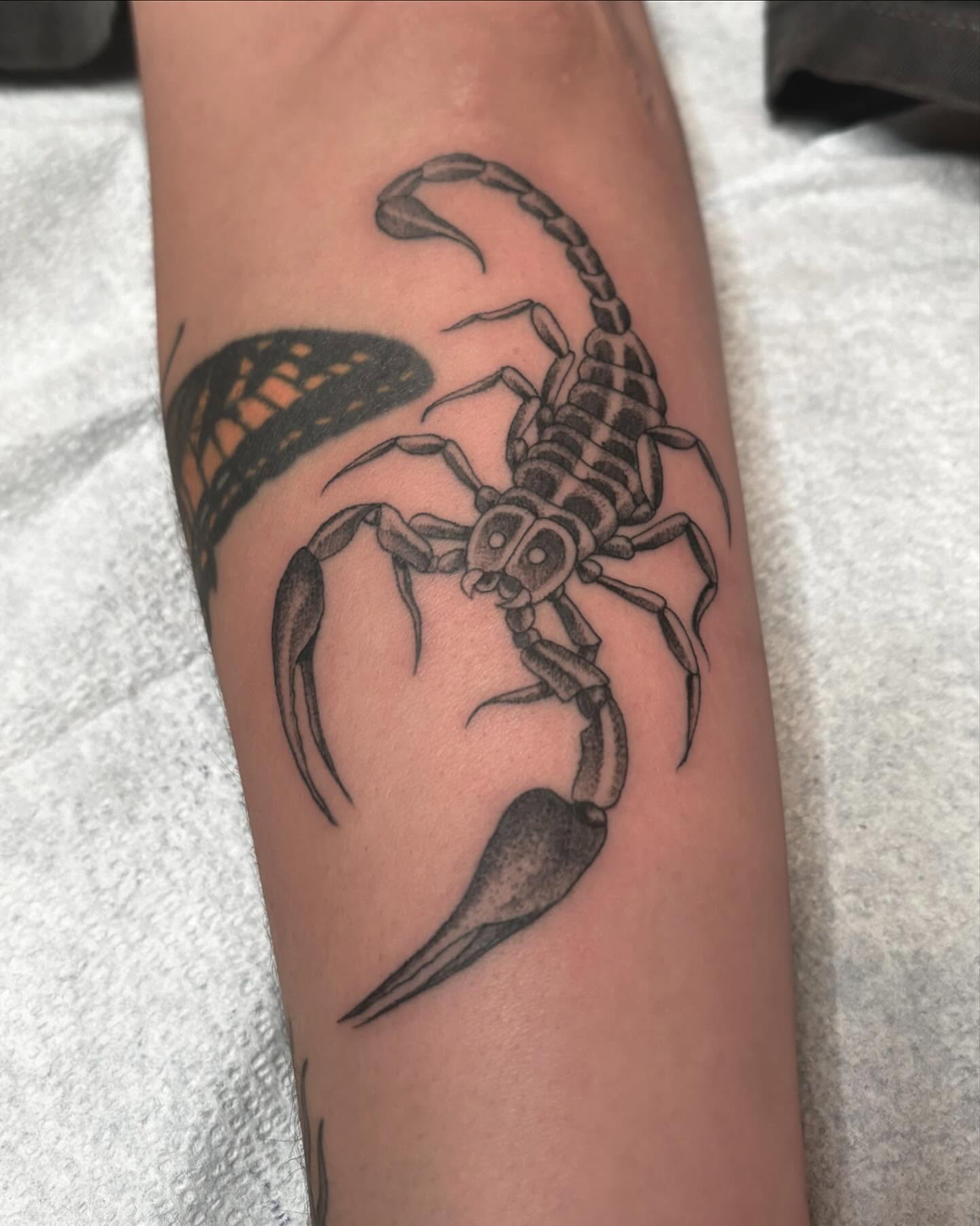 Scorpion black and grey tattoo on the forearm by Jake Hodson, Nashville, Tennessee