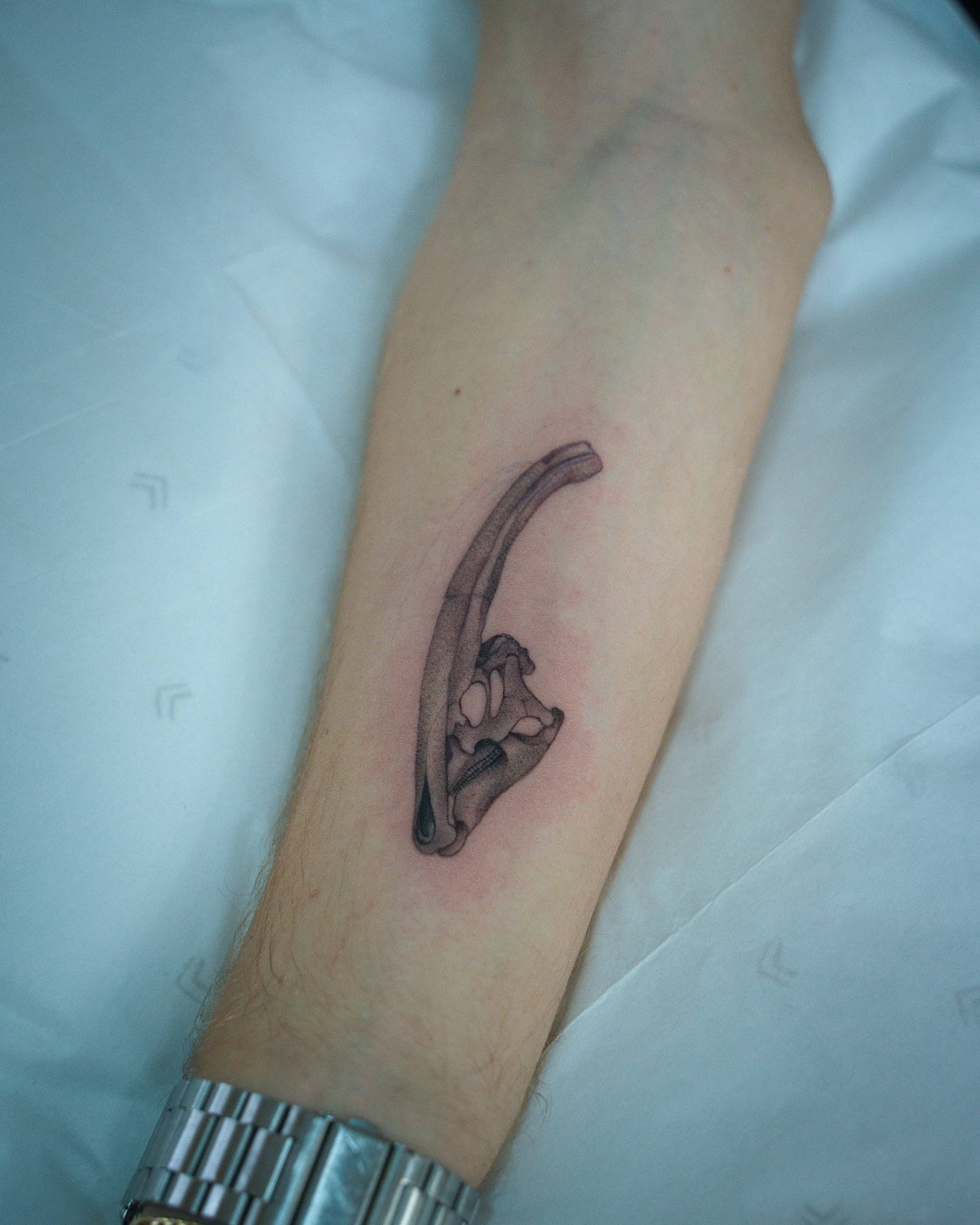 Bone structure black and grey tattoo on the forearm by Christopher Espino, Hawthorne, California