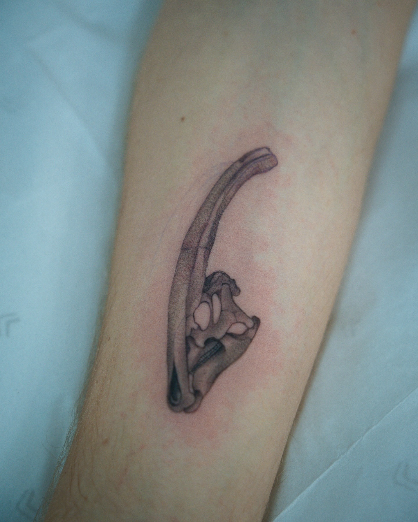Tattoo by @red_lettr — black_and_grey