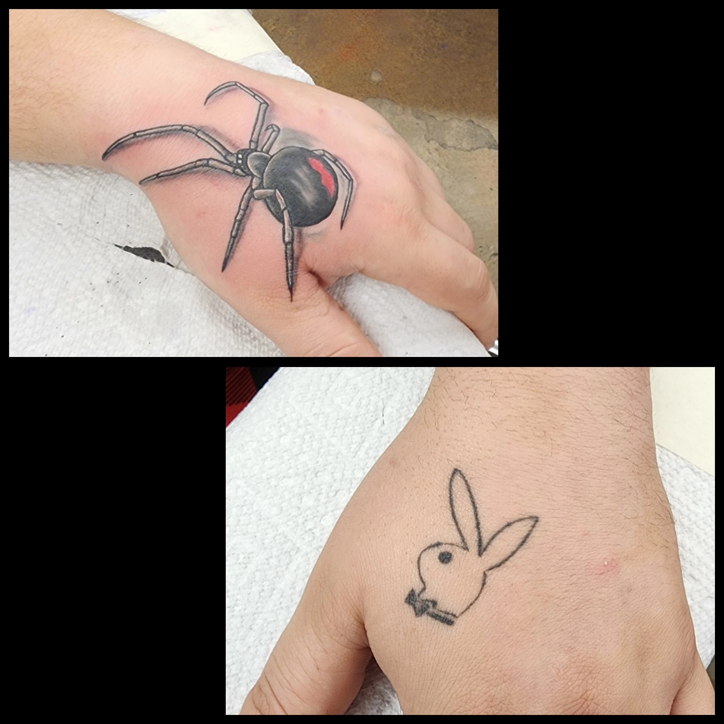 Spider realism tattoo on the forearm by @thedevilspaintbrush_