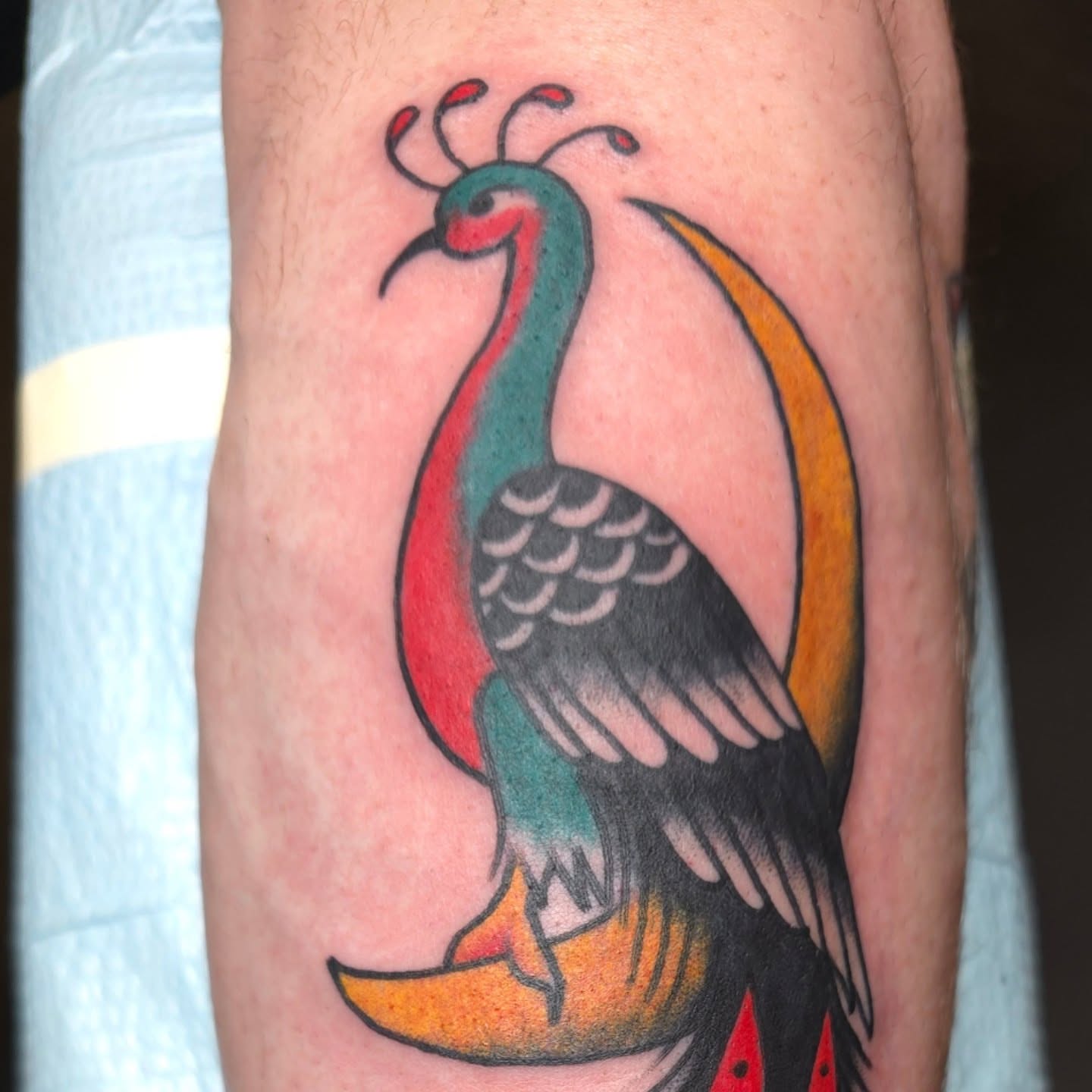 Turkey American traditional tattoo on the forearm by Jared Green