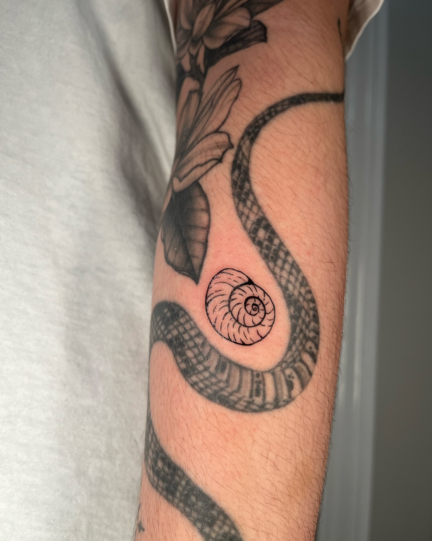 Snake and shell black and grey tattoo on the forearm by layne