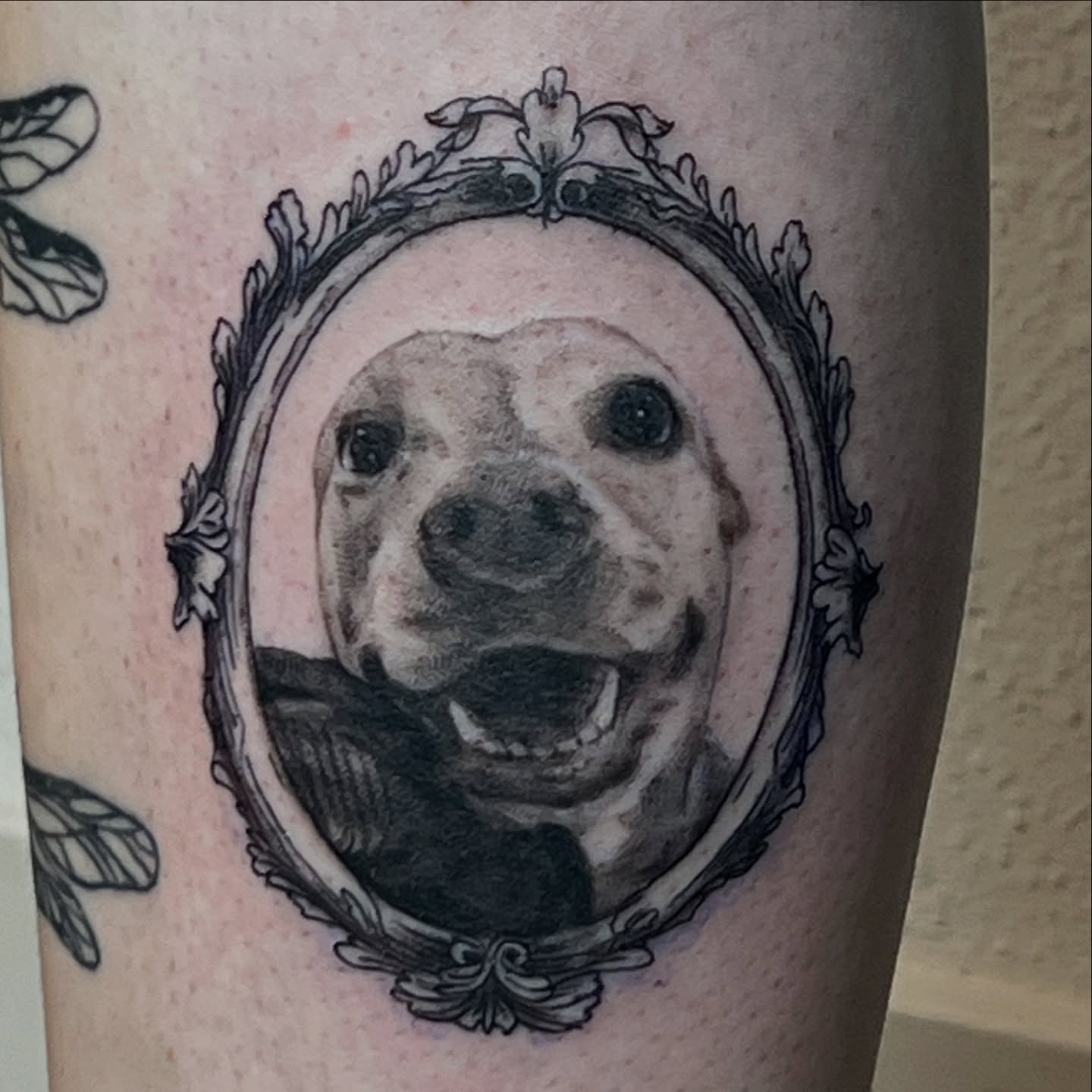 Dog portrait realism tattoo on the forearm by Jordan
