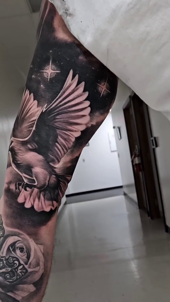 Dove and roses realism tattoo by Tyler Malek
