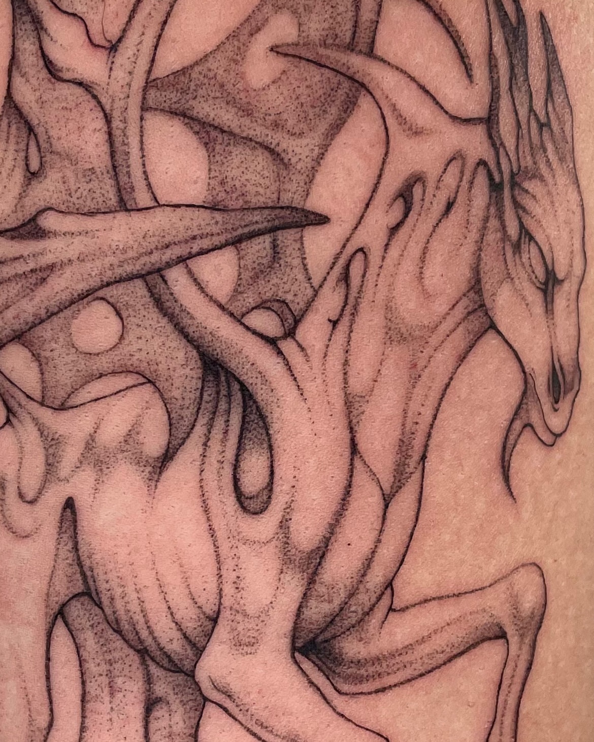 Tattoo by @carolineraer โ dotwork, black_and_grey