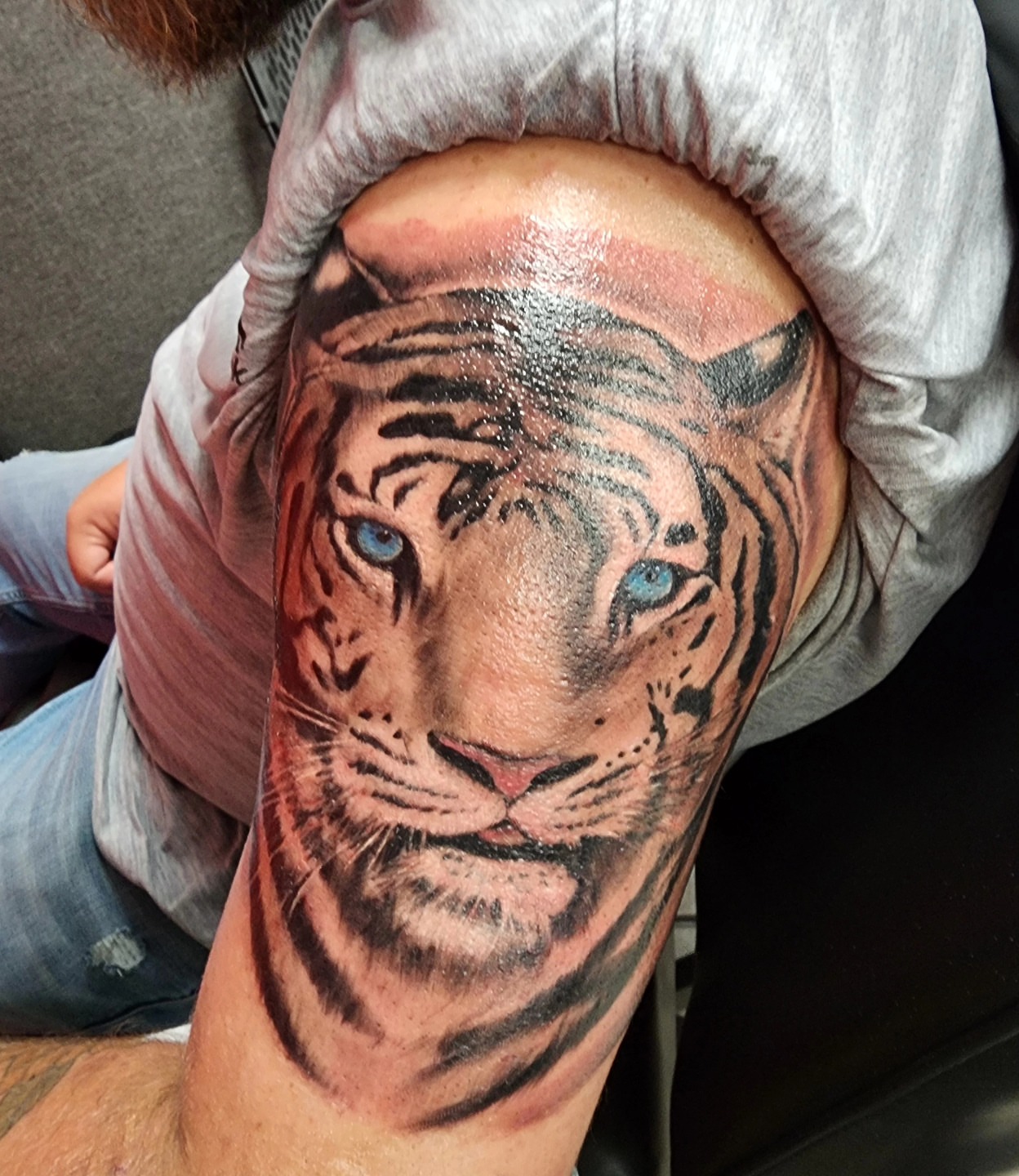 Tiger realism tattoo on the shoulder by @thedevilspaintbrush_