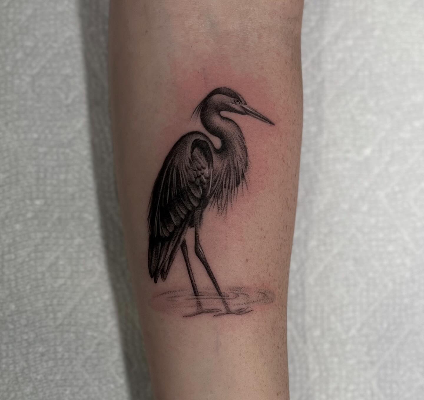 Heron black and grey tattoo on the forearm by Lee Ranco
