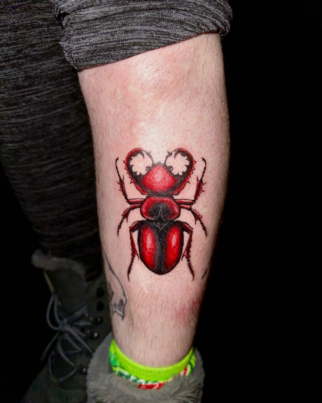 Red beetle realism tattoo on the forearm by Marie Novotny, Lakewood, Ohio