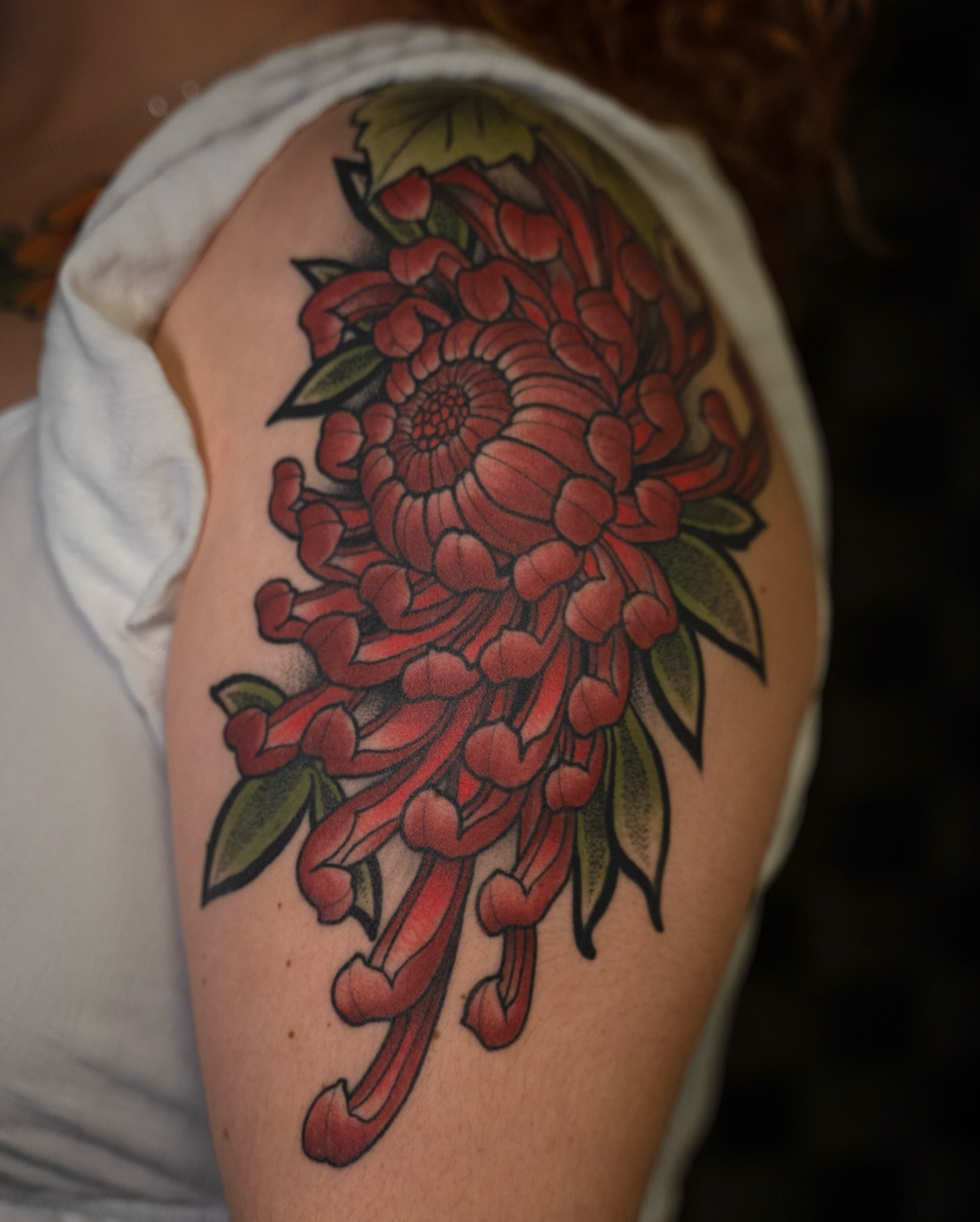 Chrysanthemum American traditional tattoo on the shoulder by Chris Estrada