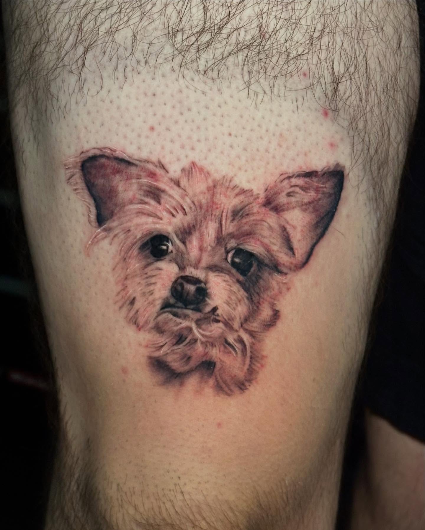 Tattoo by @veranosarttt — realism