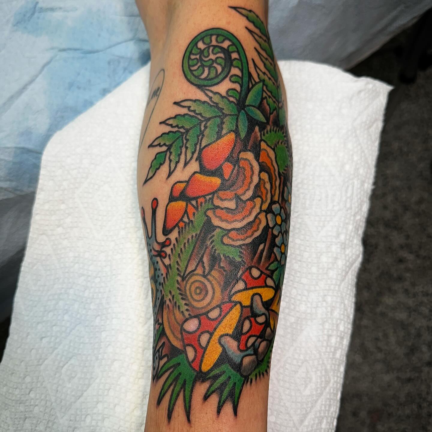 Mushroom and fern new school tattoo on the forearm by Nathan Rohrbacher, Nashville, Tennessee