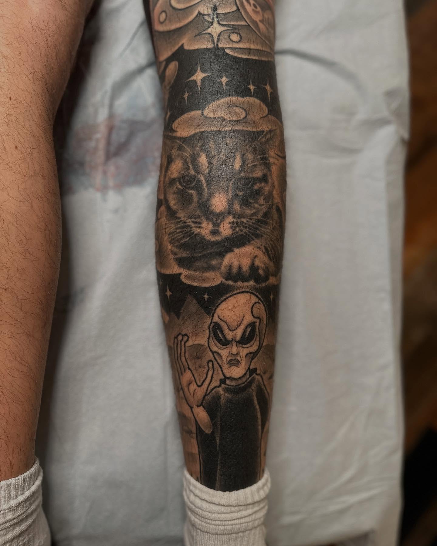 Cat and alien realism tattoo on the forearm by Megon Shore, Seattle, Washington