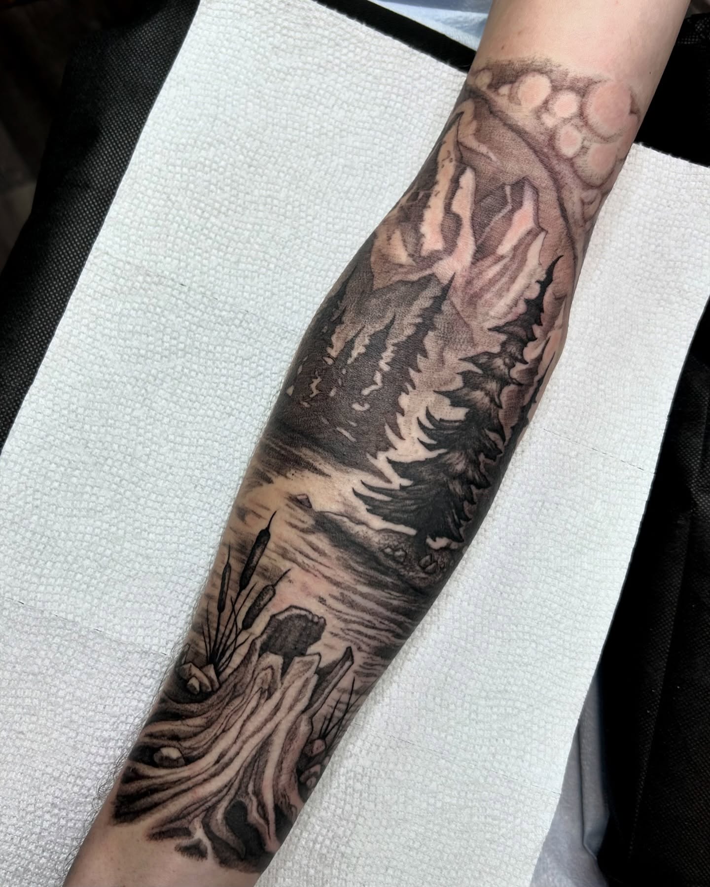 Landscape realism tattoo on the forearm by Jamie