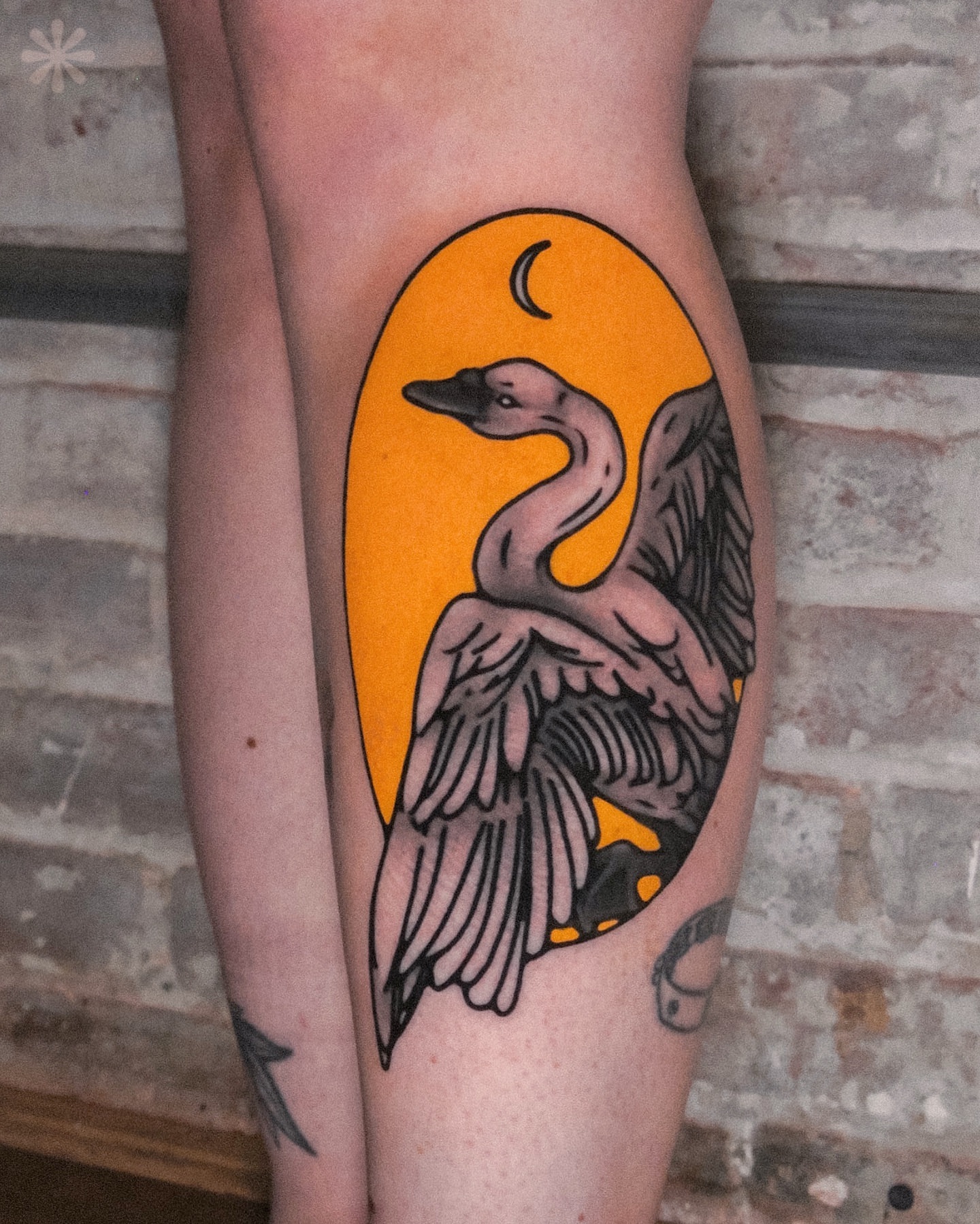 Swan American traditional tattoo on the forearm by Last Year Of Disaster
