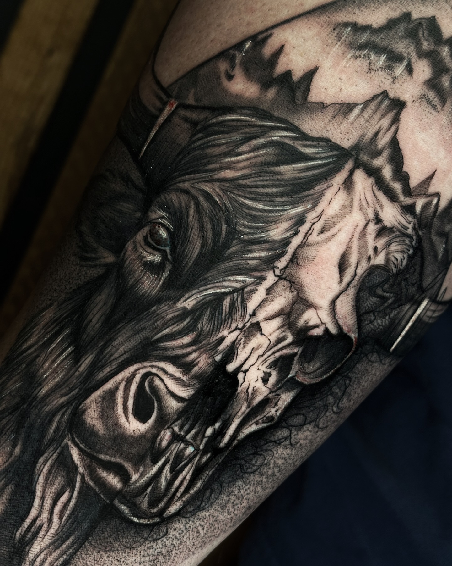 Horse head realism tattoo on the forearm by Alejo Ibanez Tattoo