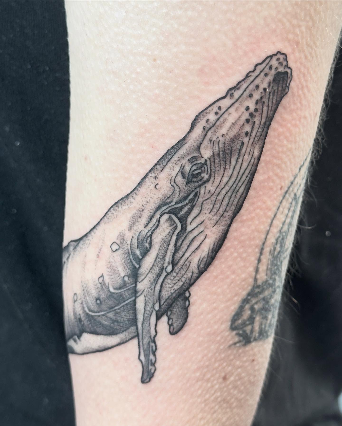 Tattoo by @kmarsdentattoos — dotwork