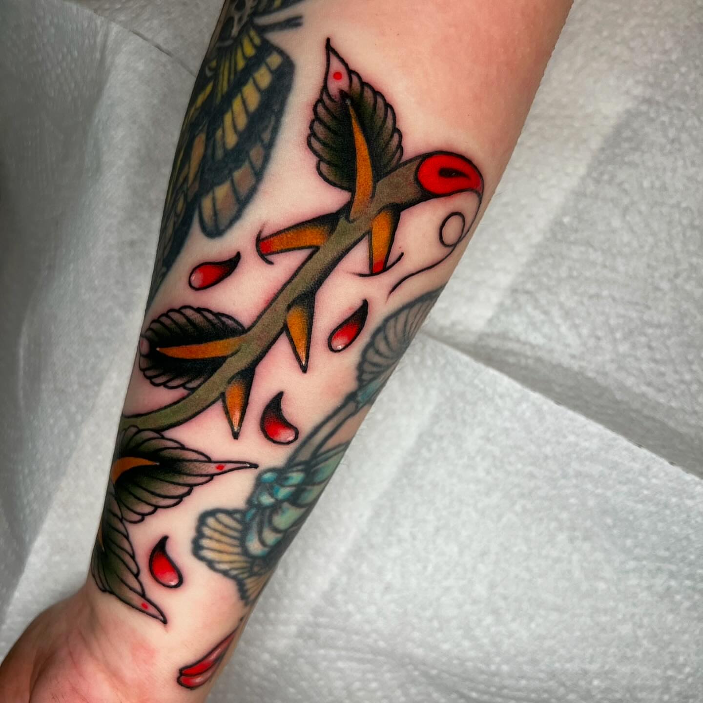 Bird and branch American traditional tattoo on the forearm by Hailey Johnson