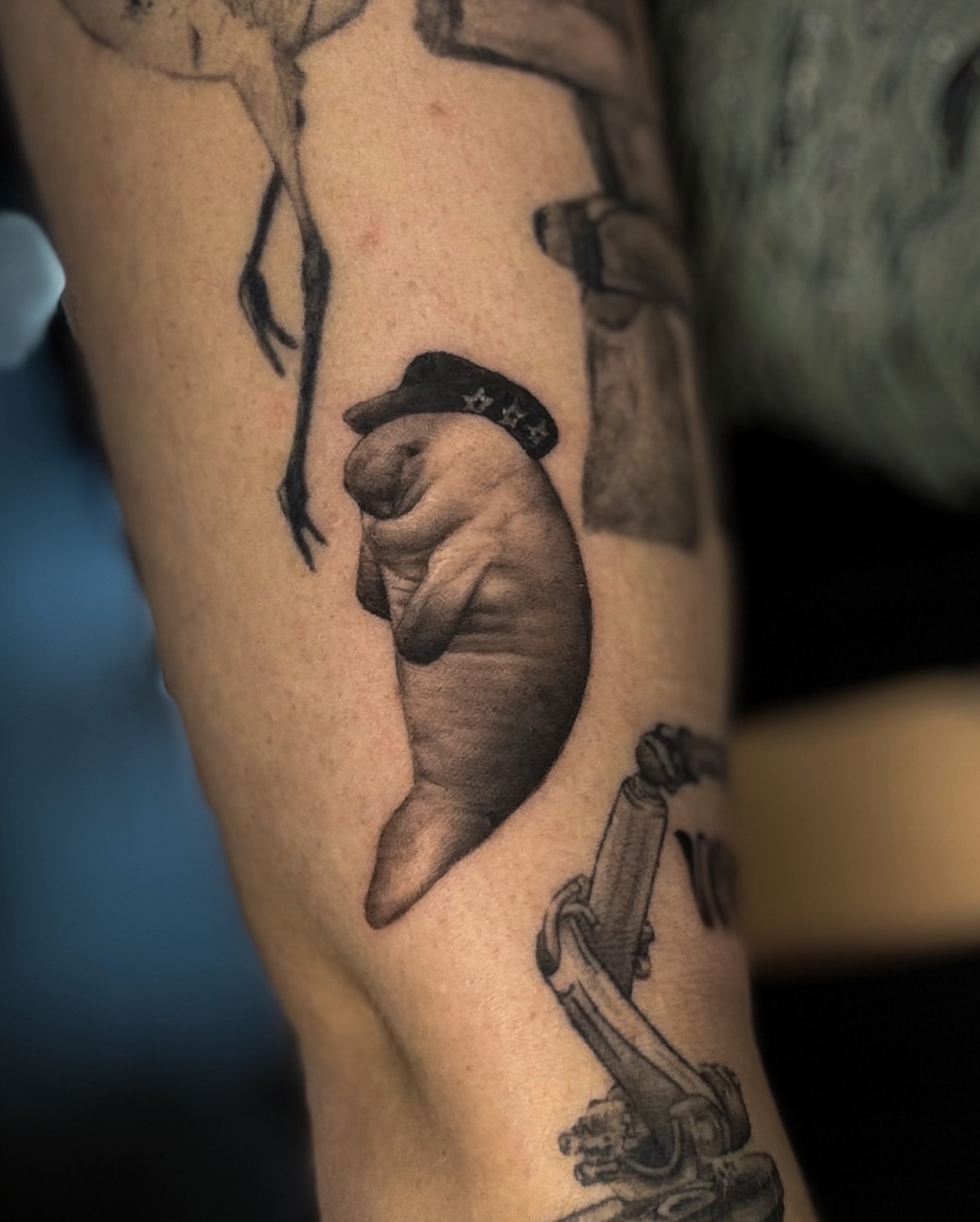 Manatee wearing cowboy hat black and grey tattoo on the forearm by Rose