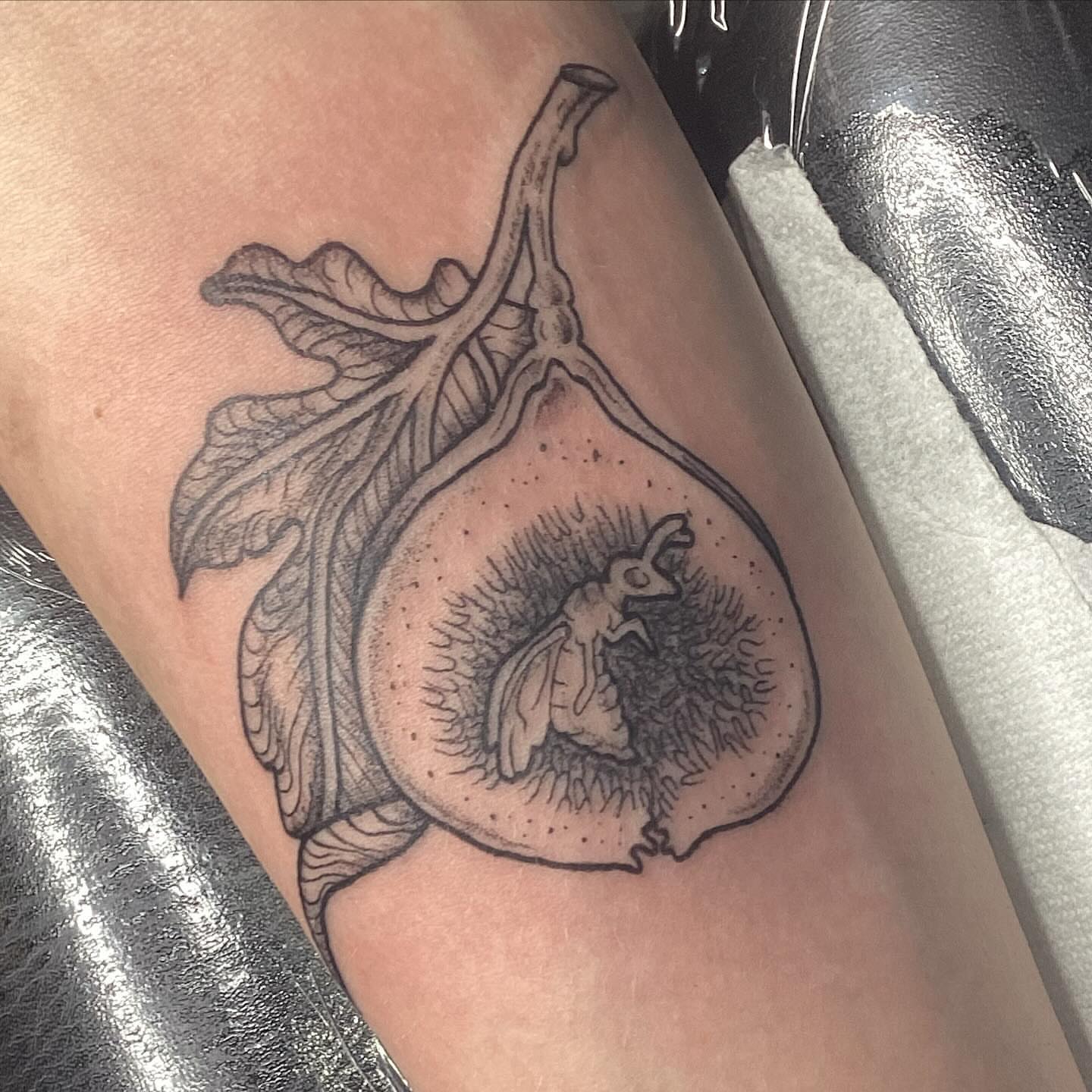 Fig dotwork tattoo on the forearm by Ava Glory Tattoos