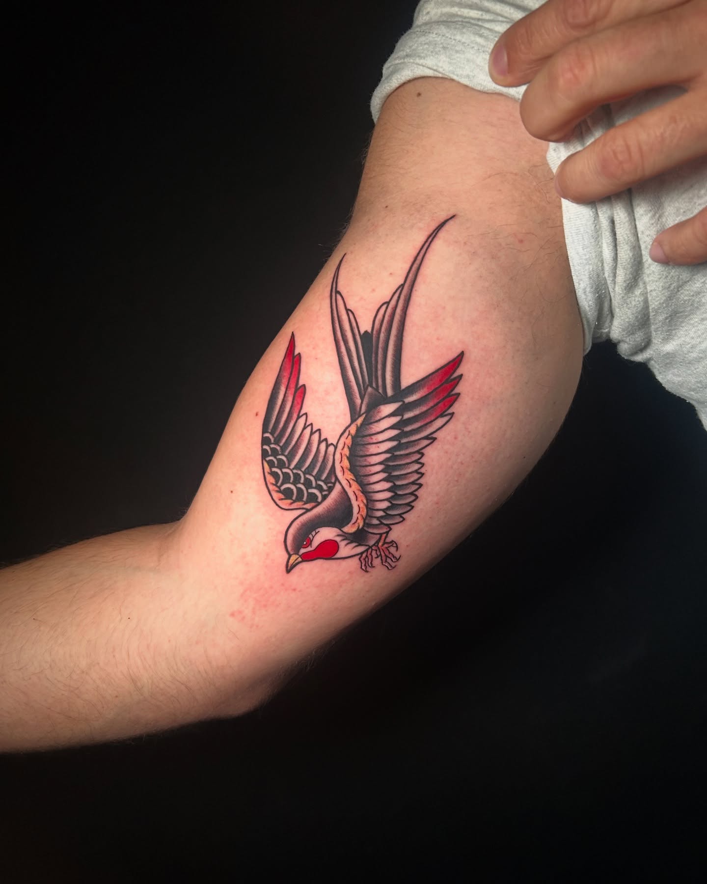 Tattoo by @lucasarts_tattoo — american_traditional