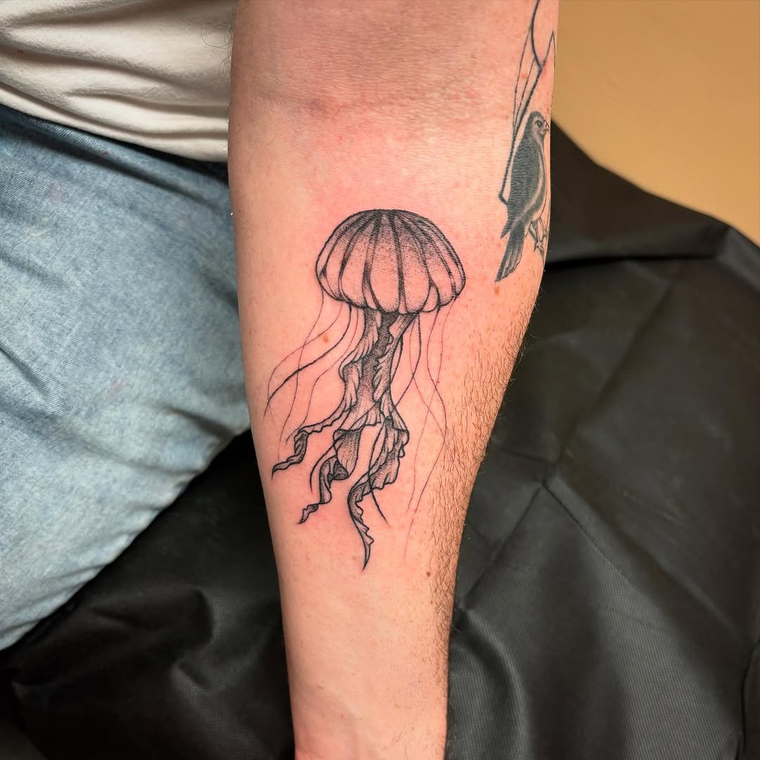 Tattoo by @k.shordon_tattooer — black_and_grey, fine_line