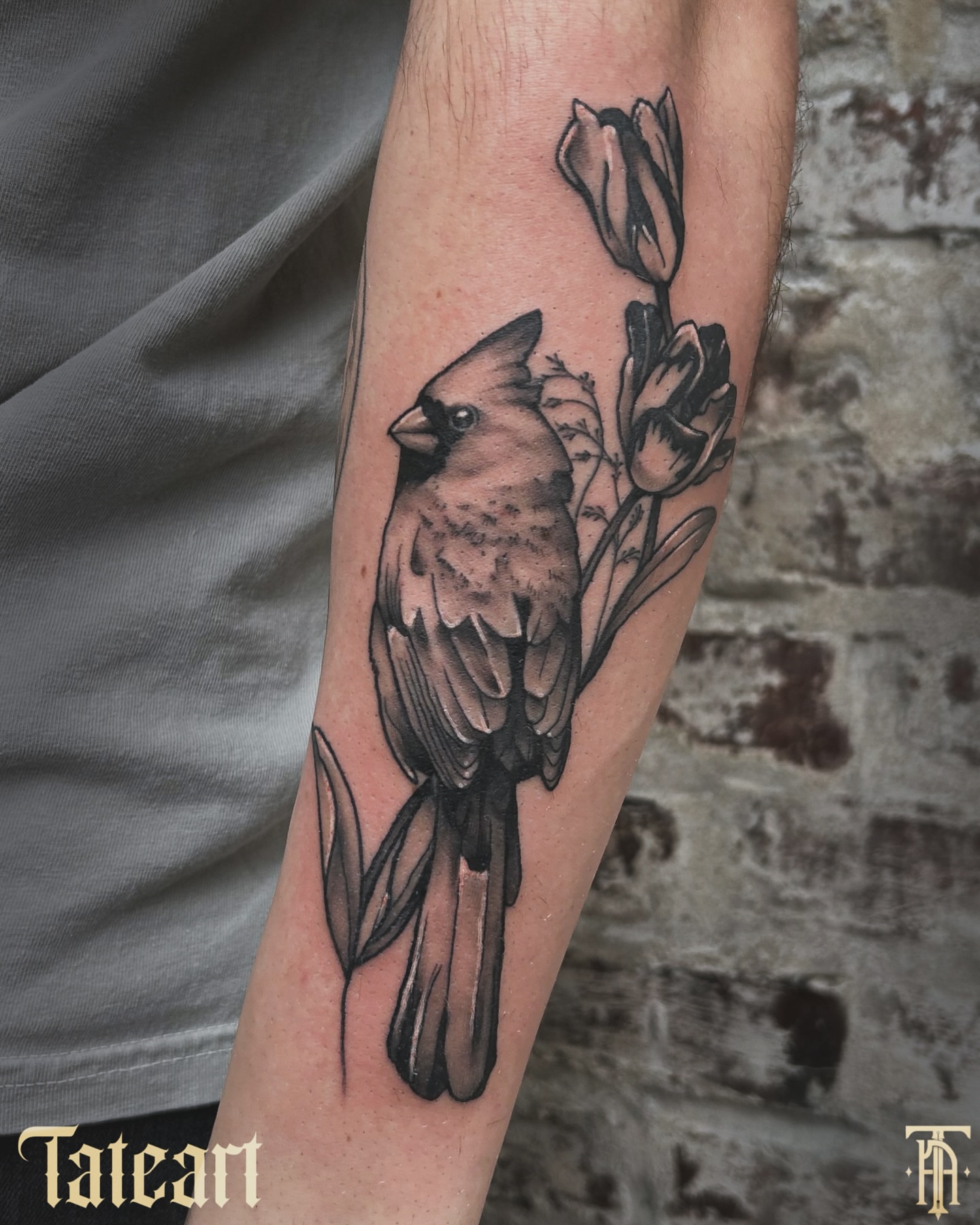 Cardinal bird realism tattoo on the forearm by Tate Wortham