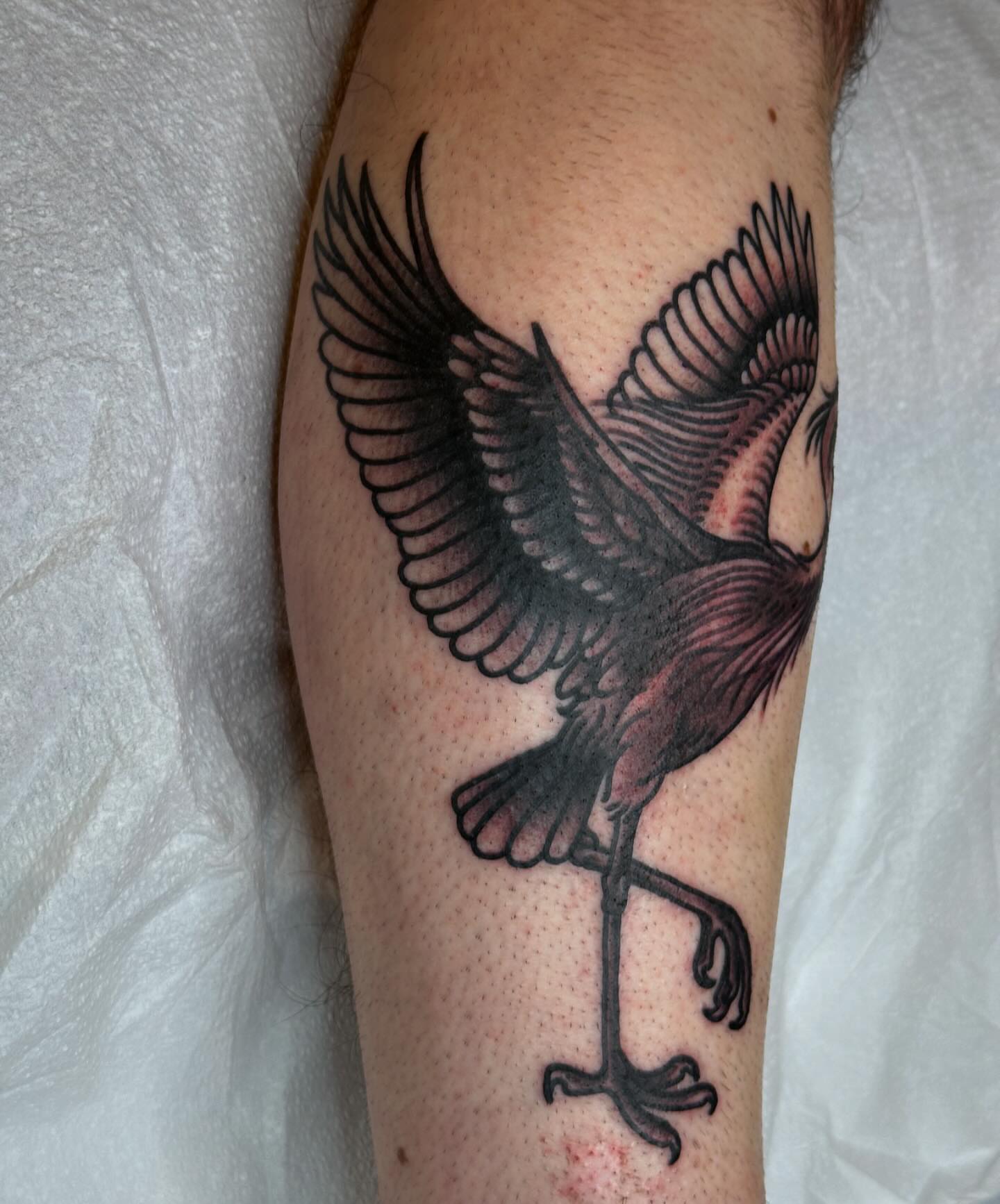 Tattoo by @mccallumtattoo — black_and_grey