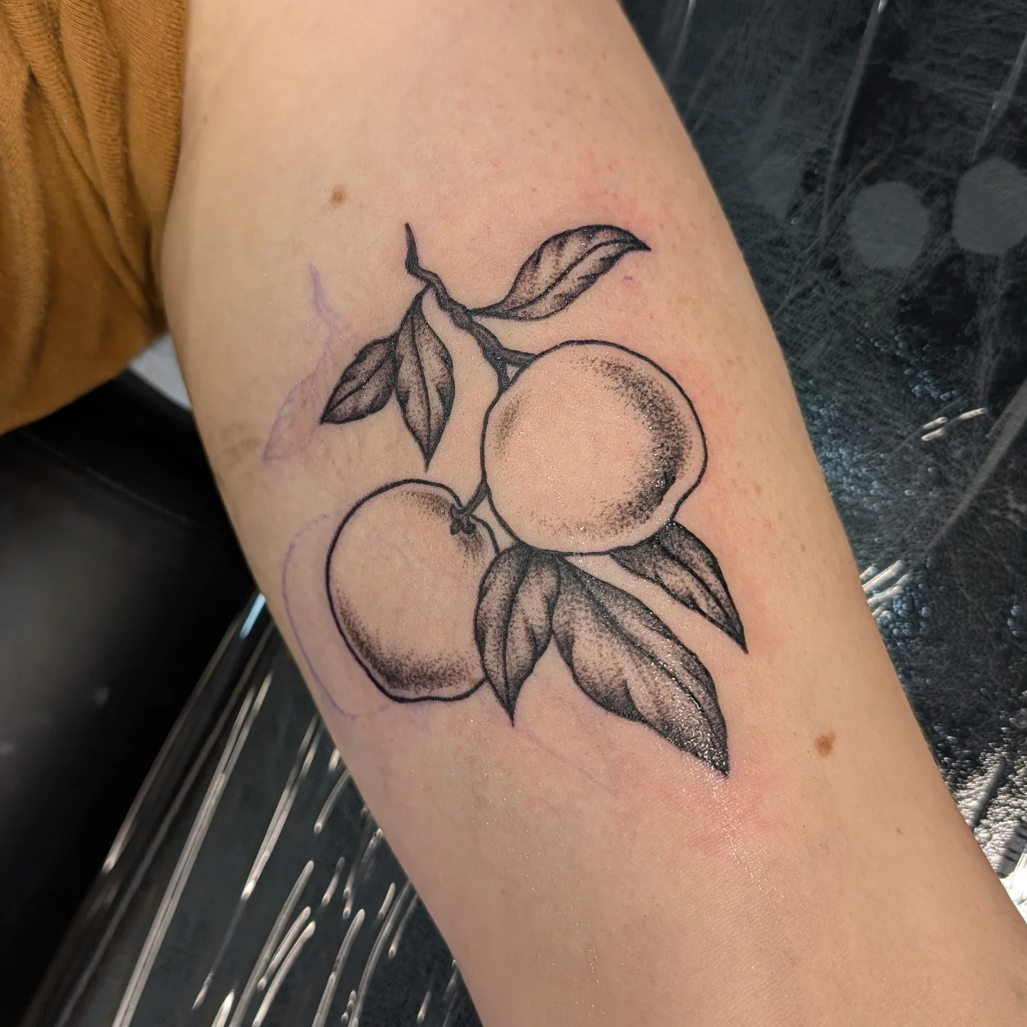 Peaches dotwork tattoo on the forearm by Jamie Yuu, Minneapolis, Minnesota
