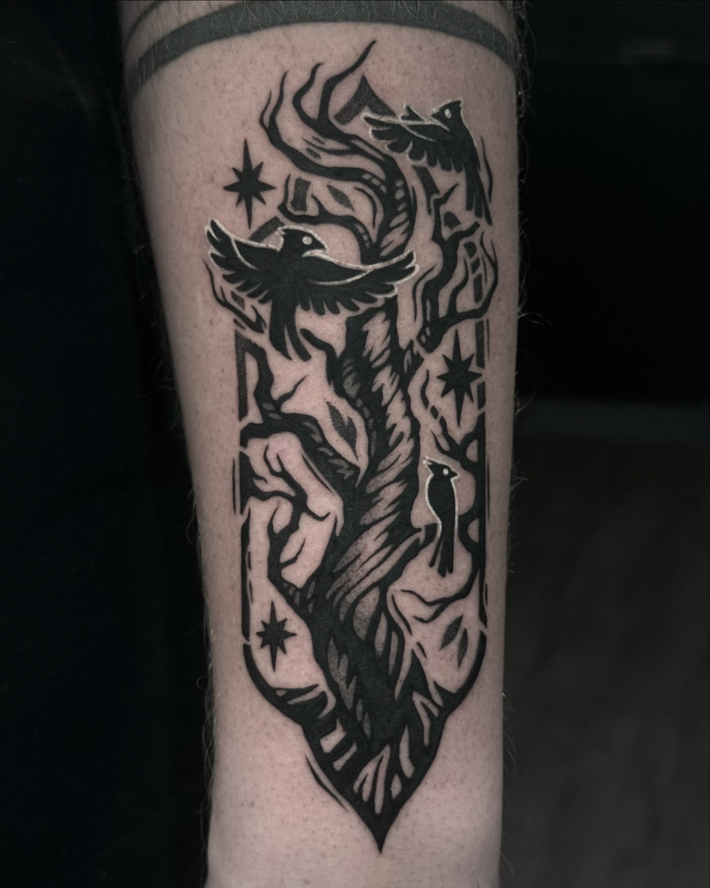 Phoenix and stars black and grey tattoo on the forearm by π»ππππ β½ πΏππππ, Franklin, Tennessee