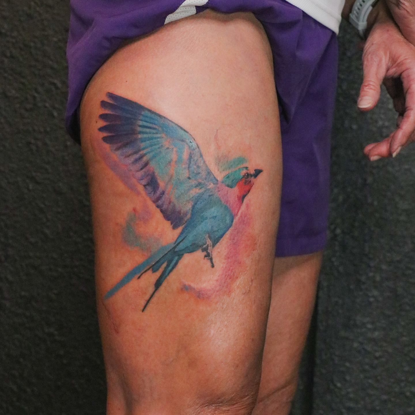 Bird watercolor tattoo on the thigh by Jhenn