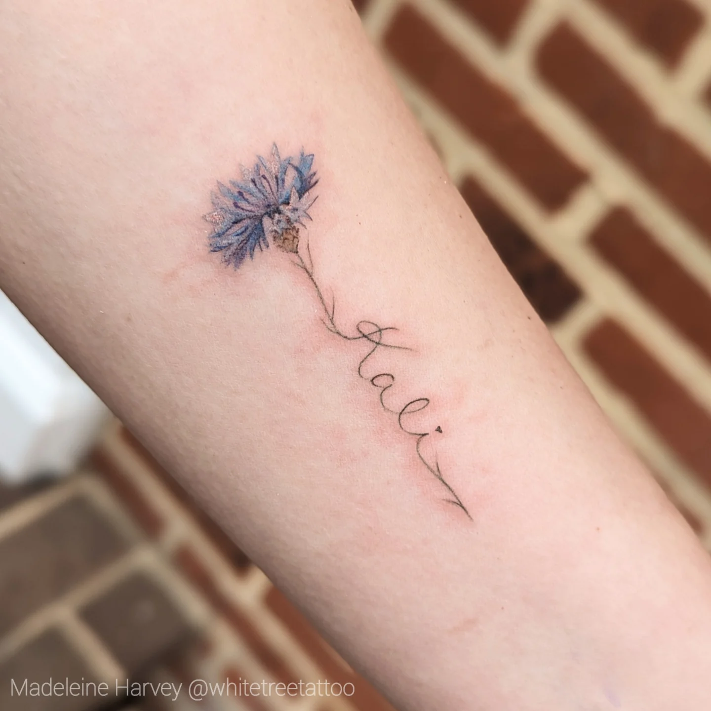 Flower and name watercolor tattoo on the forearm by Maddie