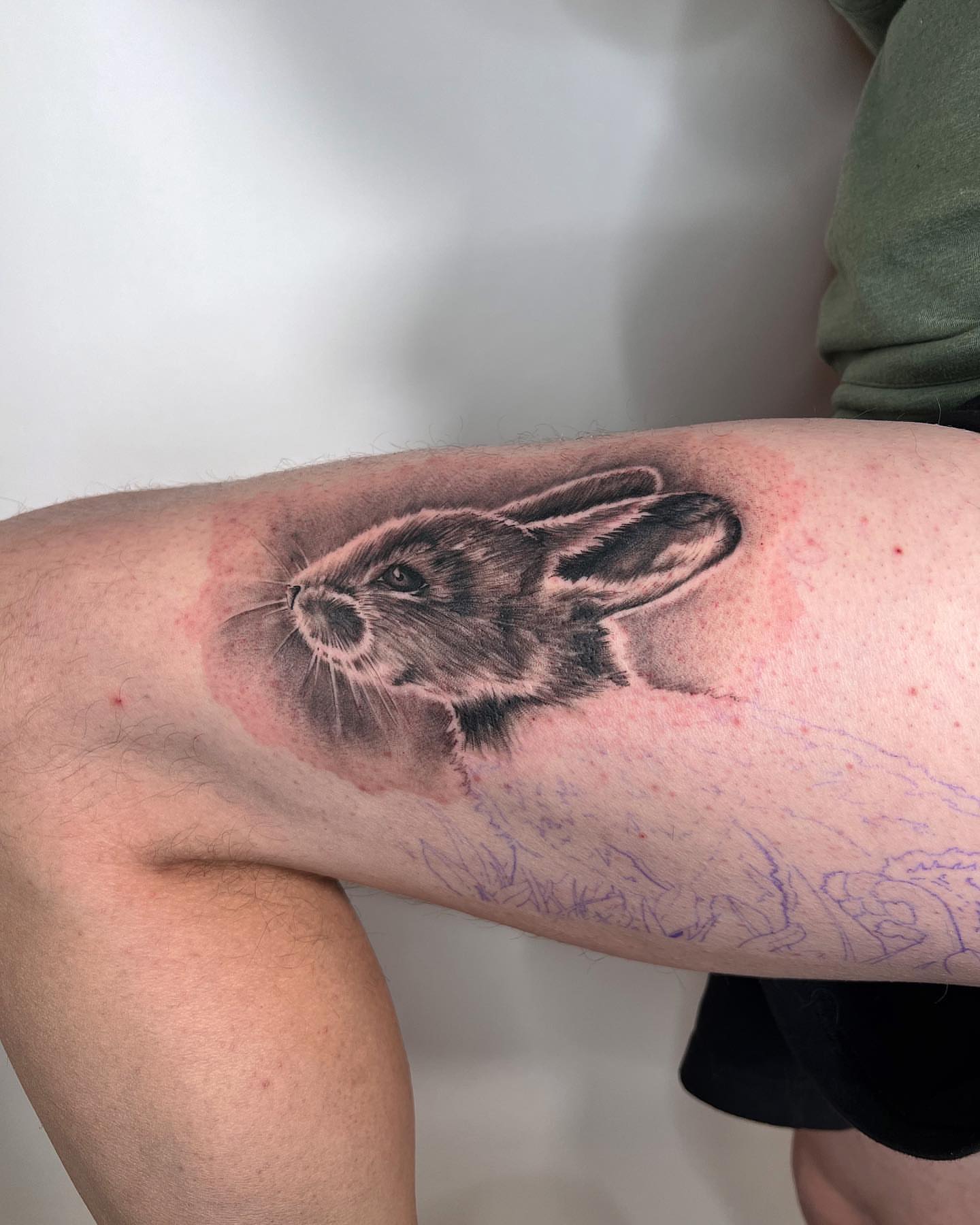 Rabbit realism tattoo on the forearm by Dolph.