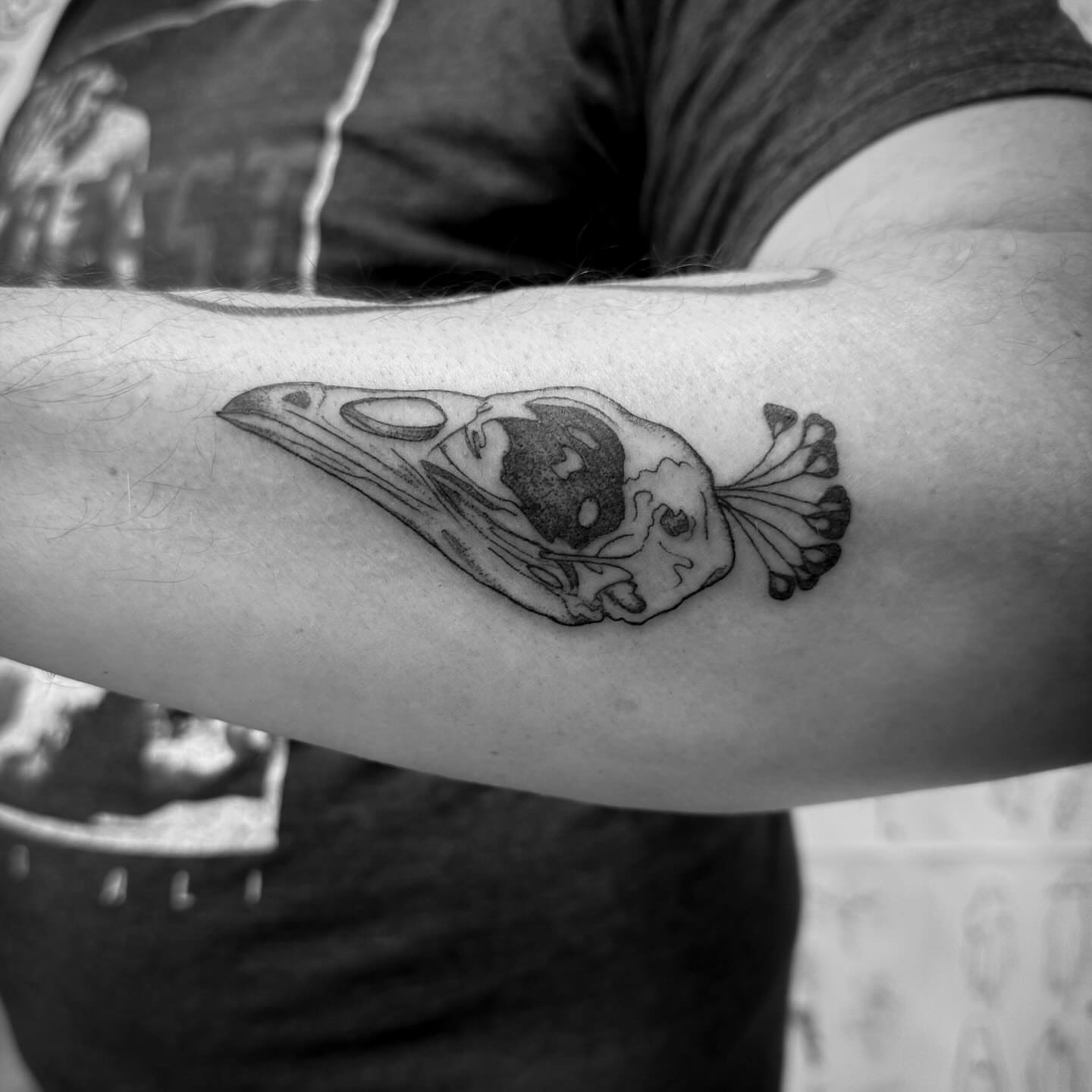 Bird skull black and grey tattoo on the forearm by Christen Wolfe CA Tattooer