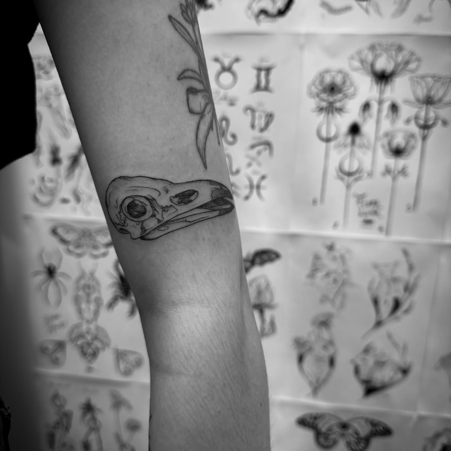 Bird skull black and grey tattoo on the forearm by Christen Wolfe CA Tattooer