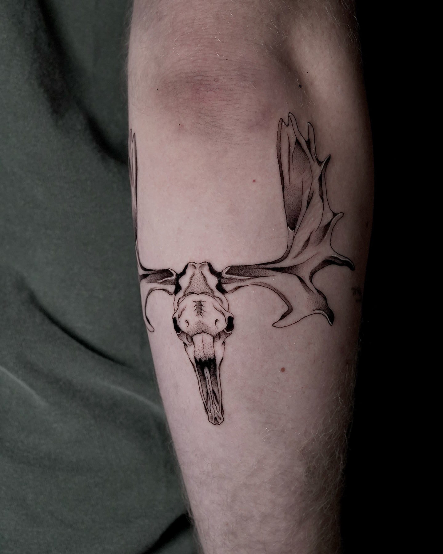 Deer skull black and grey tattoo on the forearm by Fine line tattoo San Diego, San Diego, California