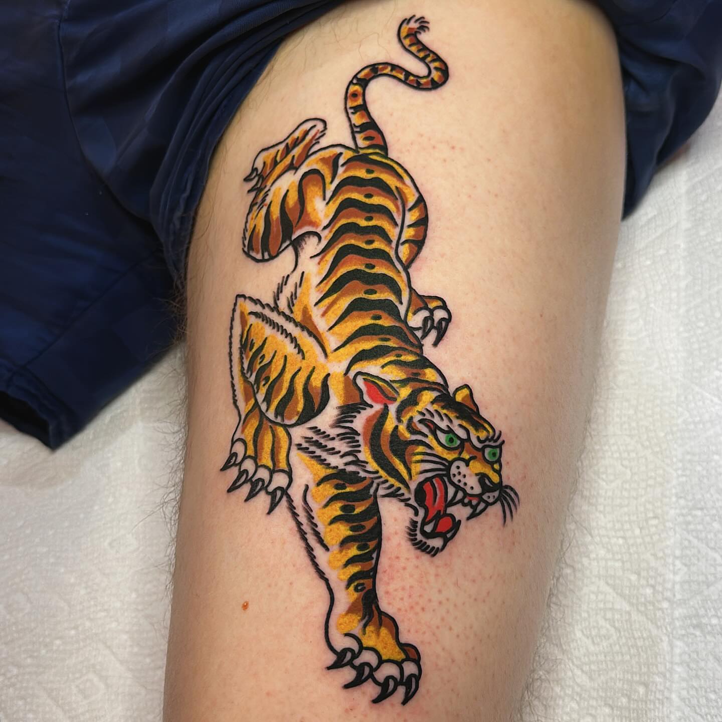 Tiger American traditional tattoo on the thigh by Isaac Brethauer