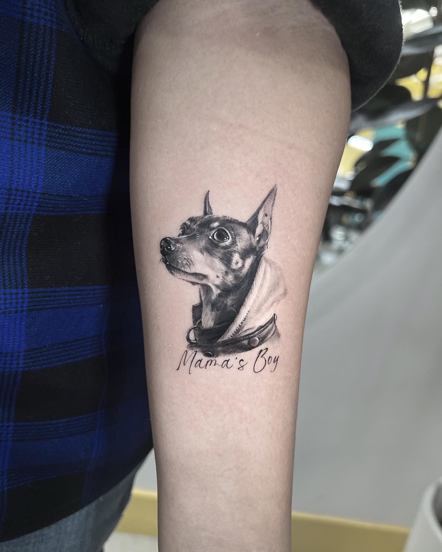 Dog realism tattoo on the forearm by Nana