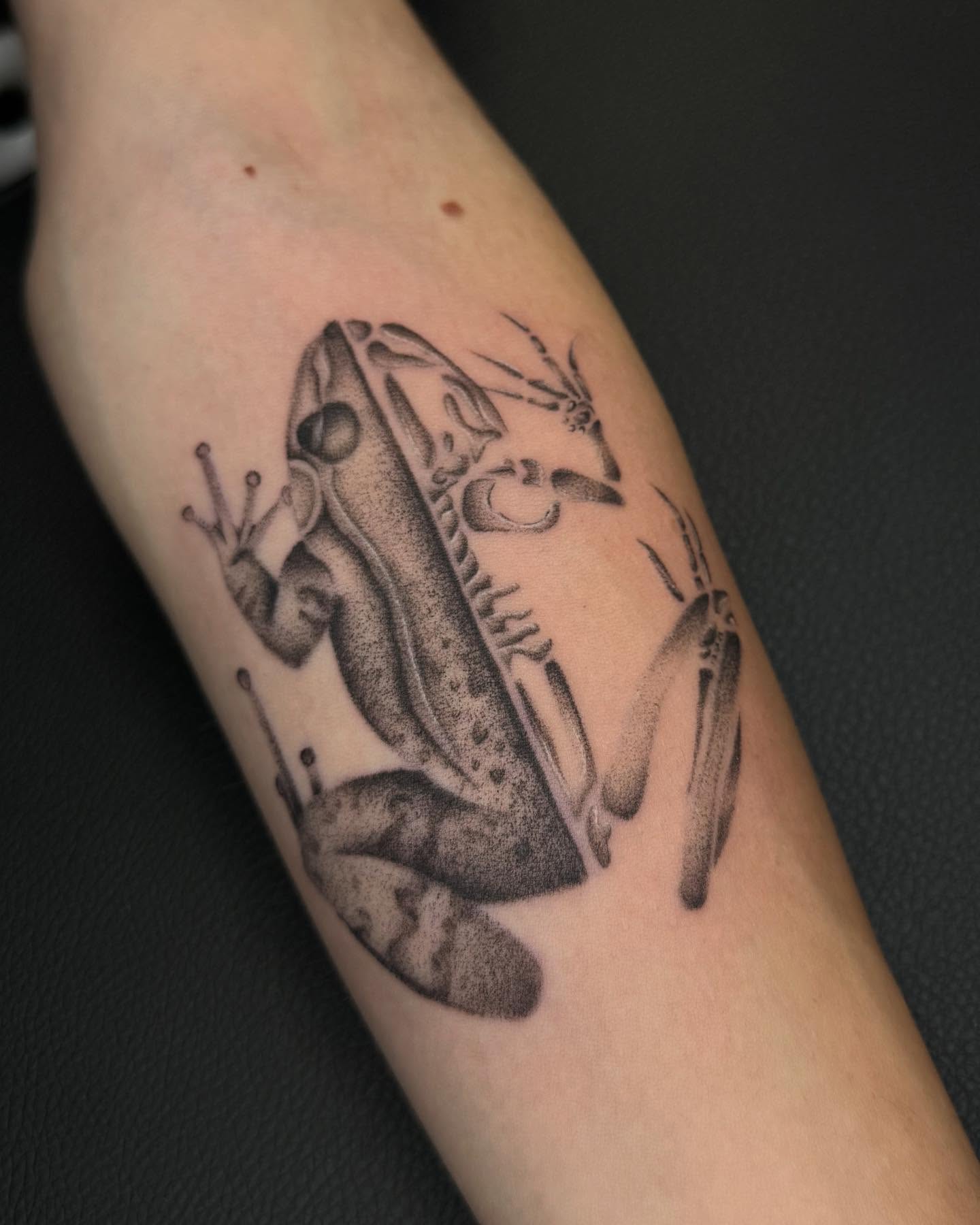 Frog dotwork tattoo on the forearm by Isabel Smith🦋🕷️