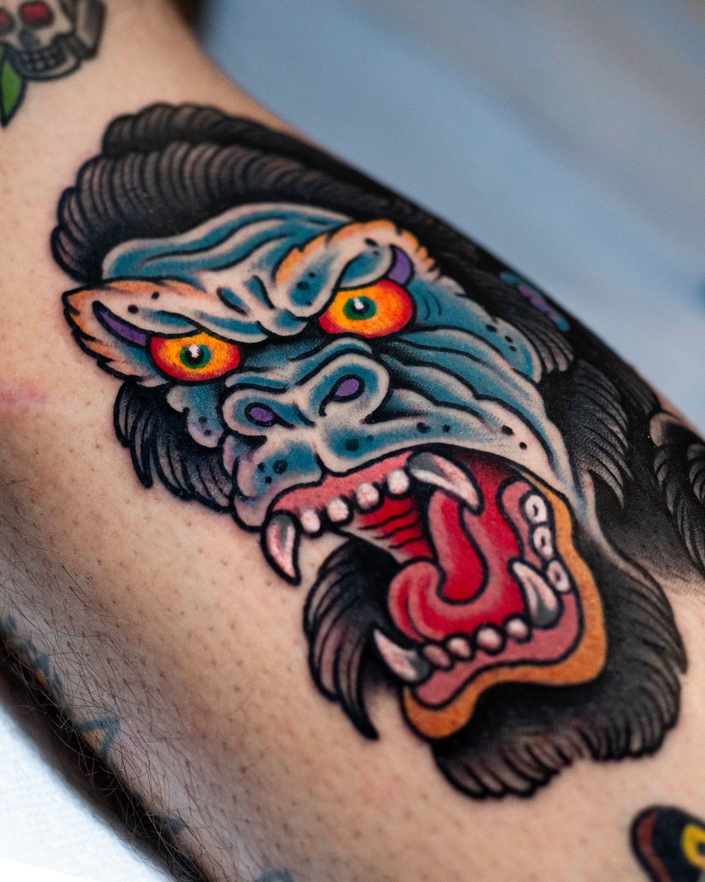 Lion American traditional tattoo on the forearm by Miguel Comin