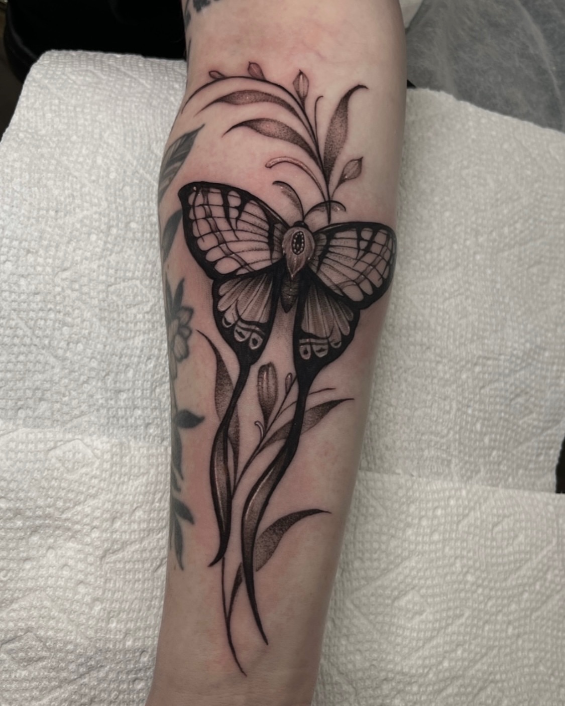Butterfly black and grey tattoo on the forearm by Morrison Vo