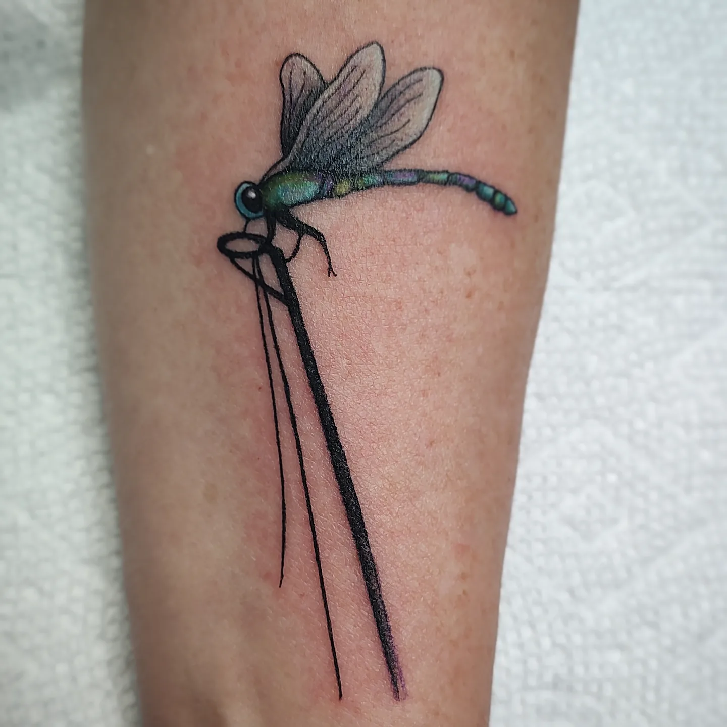 Tattoo by @karat_curations β realism