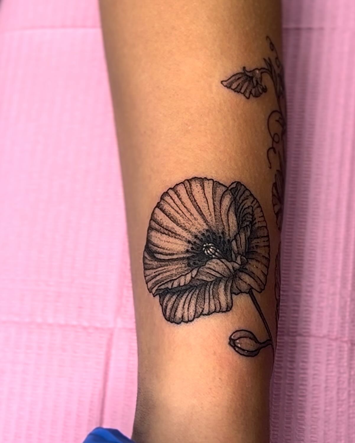 Poppy flower dotwork tattoo on the forearm by Taylor Elizabeth 🕉️