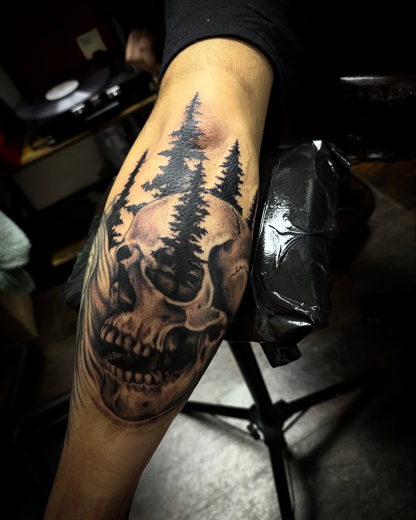 Skull and trees realism tattoo on the forearm by Kassie Perian